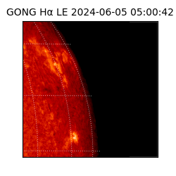 gong - 2024-06-05T05:00:42