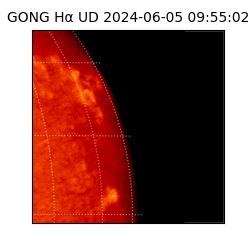 gong - 2024-06-05T09:55:02
