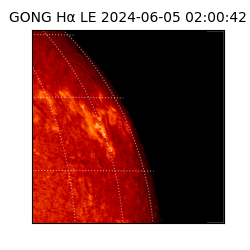gong - 2024-06-05T02:00:42