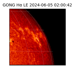 gong - 2024-06-05T02:00:42