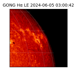gong - 2024-06-05T03:00:42