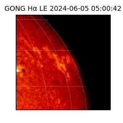 gong - 2024-06-05T05:00:42