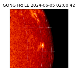 gong - 2024-06-05T02:00:42