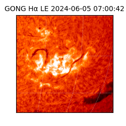 gong - 2024-06-05T07:00:42