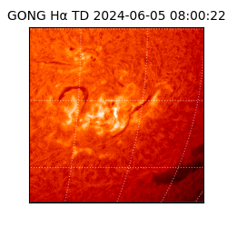 gong - 2024-06-05T08:00:22