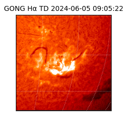 gong - 2024-06-05T09:05:22