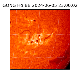 gong - 2024-06-05T23:00:02