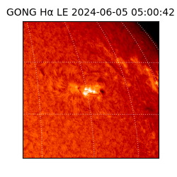 gong - 2024-06-05T05:00:42