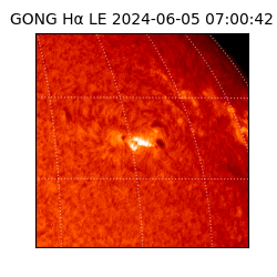 gong - 2024-06-05T07:00:42