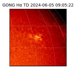 gong - 2024-06-05T09:05:22