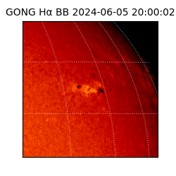gong - 2024-06-05T20:00:02
