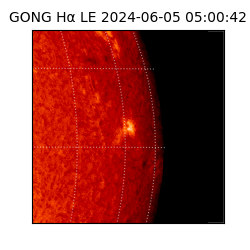 gong - 2024-06-05T05:00:42
