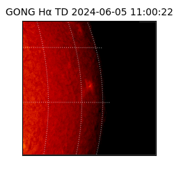 gong - 2024-06-05T11:00:22