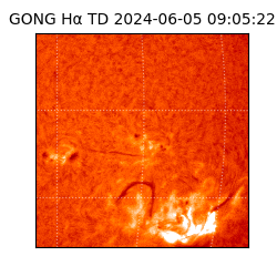 gong - 2024-06-05T09:05:22
