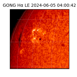 gong - 2024-06-05T04:00:42