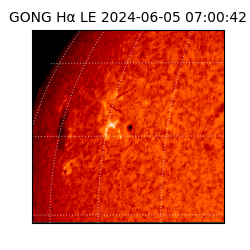 gong - 2024-06-05T07:00:42