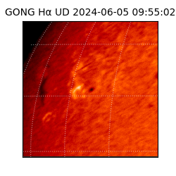 gong - 2024-06-05T09:55:02