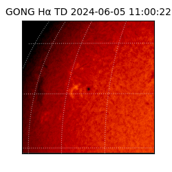 gong - 2024-06-05T11:00:22