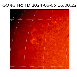 gong - 2024-06-05T16:00:22