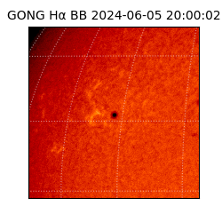gong - 2024-06-05T20:00:02