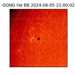 gong - 2024-06-05T21:00:02
