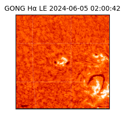 gong - 2024-06-05T02:00:42