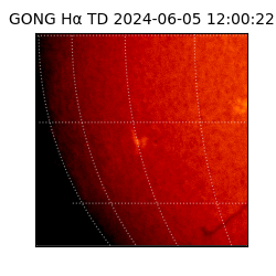 gong - 2024-06-05T12:00:22