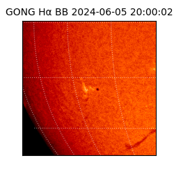 gong - 2024-06-05T20:00:02