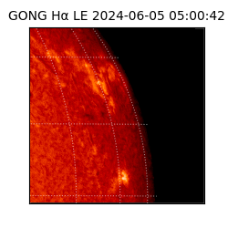 gong - 2024-06-05T05:00:42