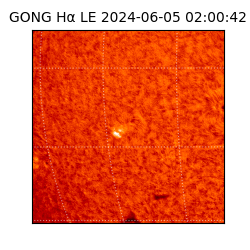gong - 2024-06-05T02:00:42