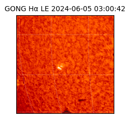 gong - 2024-06-05T03:00:42