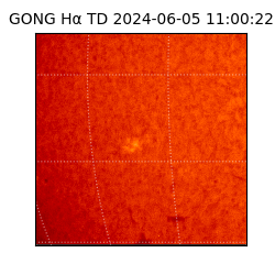 gong - 2024-06-05T11:00:22