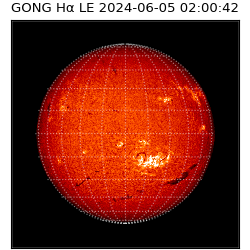 gong - 2024-06-05T02:00:42