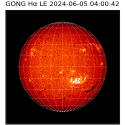 gong - 2024-06-05T04:00:42