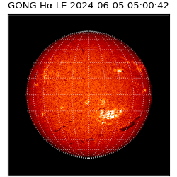 gong - 2024-06-05T05:00:42