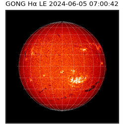 gong - 2024-06-05T07:00:42