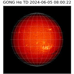 gong - 2024-06-05T08:00:22
