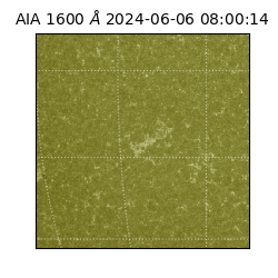 saia - 2024-06-06T08:00:14.134000