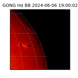 gong - 2024-06-06T19:00:02