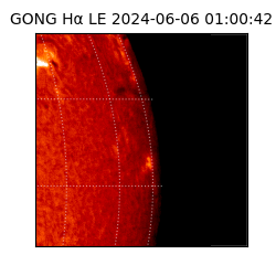 gong - 2024-06-06T01:00:42