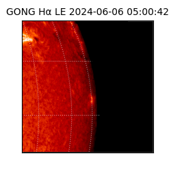 gong - 2024-06-06T05:00:42