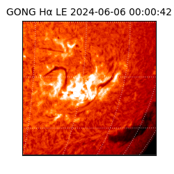 gong - 2024-06-06T00:00:42