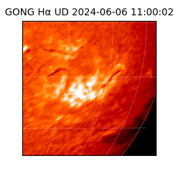 gong - 2024-06-06T11:00:02