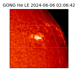 gong - 2024-06-06T02:06:42