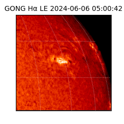 gong - 2024-06-06T05:00:42