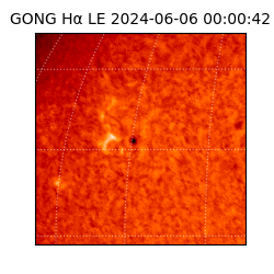 gong - 2024-06-06T00:00:42