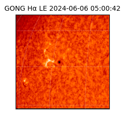 gong - 2024-06-06T05:00:42