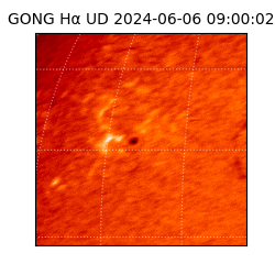 gong - 2024-06-06T09:00:02