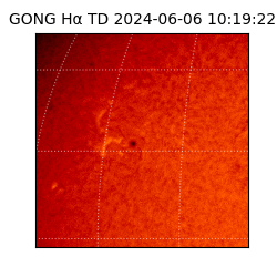 gong - 2024-06-06T10:19:22
