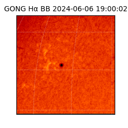 gong - 2024-06-06T19:00:02